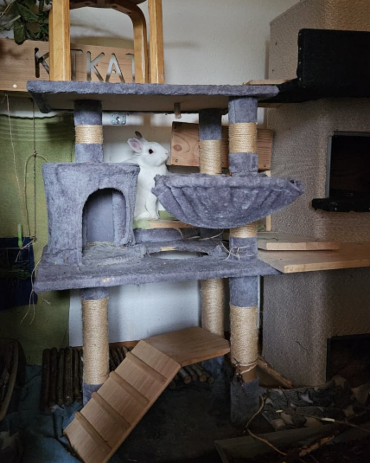 Innenhaltung Kaninchen