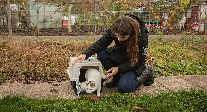 ProTier im Einsatz für weniger Katzenleid