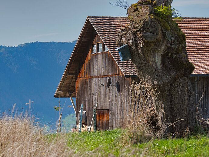 Lebenshof in meiner Nähe finden