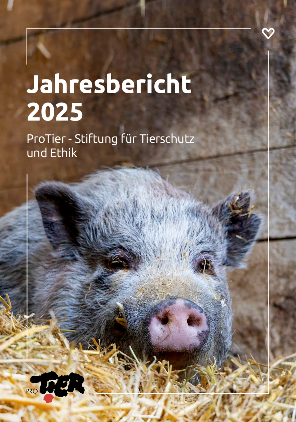 ProTier Jahresbericht 2025