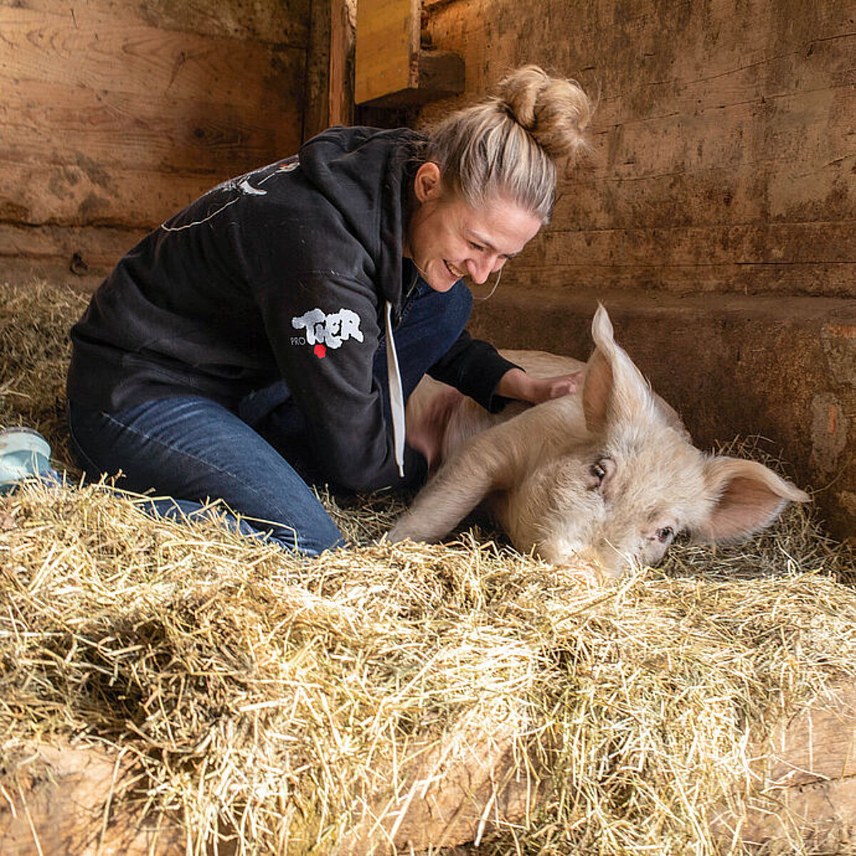 Schweinerettung mit Herz