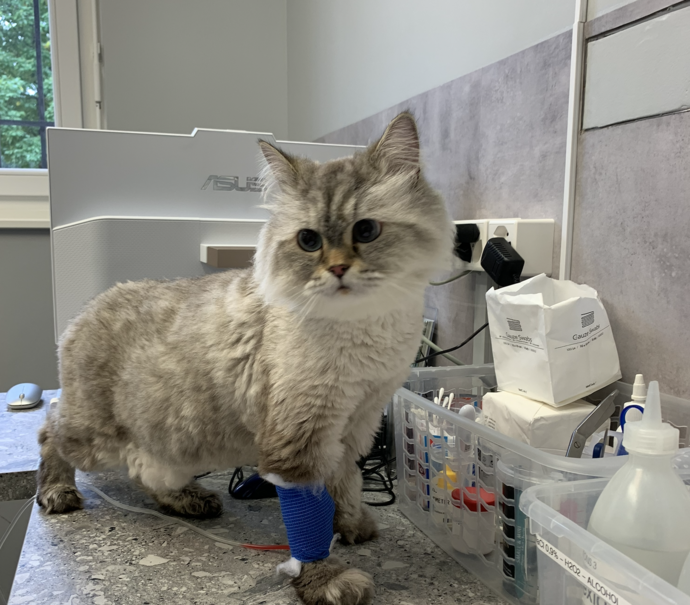 Max' Geschichte: Rettung in letzter Sekunde