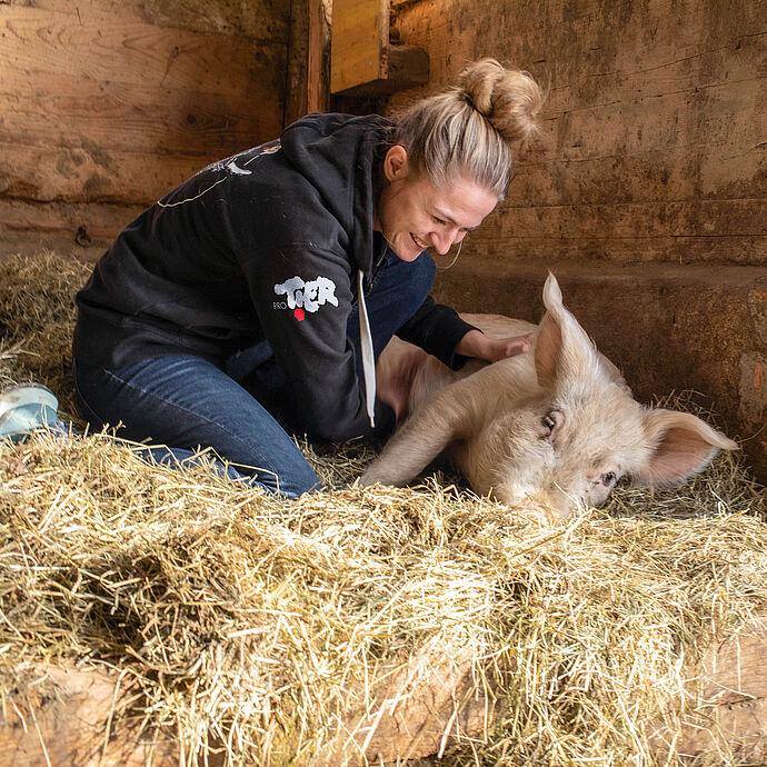 Schweinerettung mit Herz