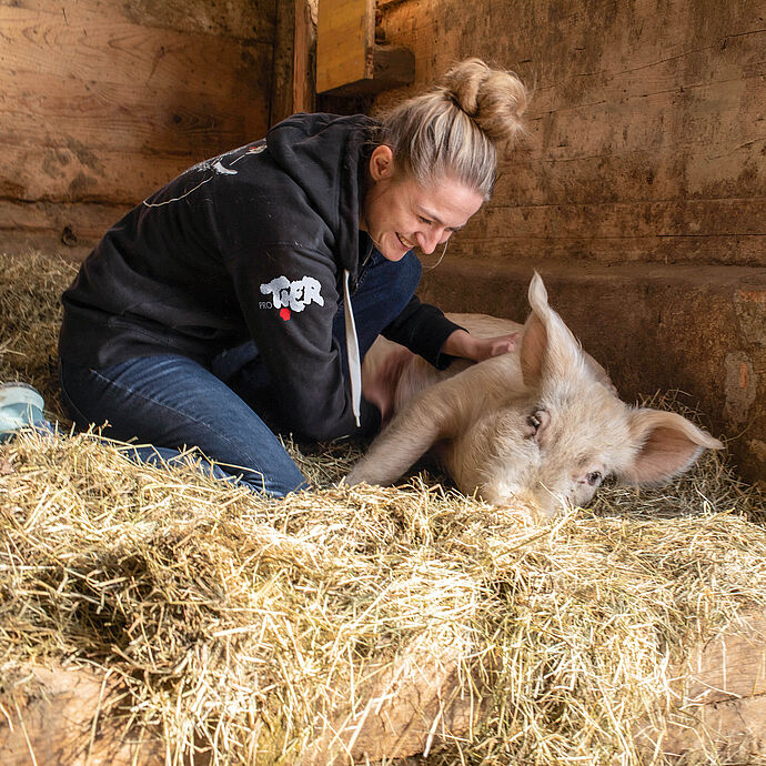 Schweinerettung mit Herz