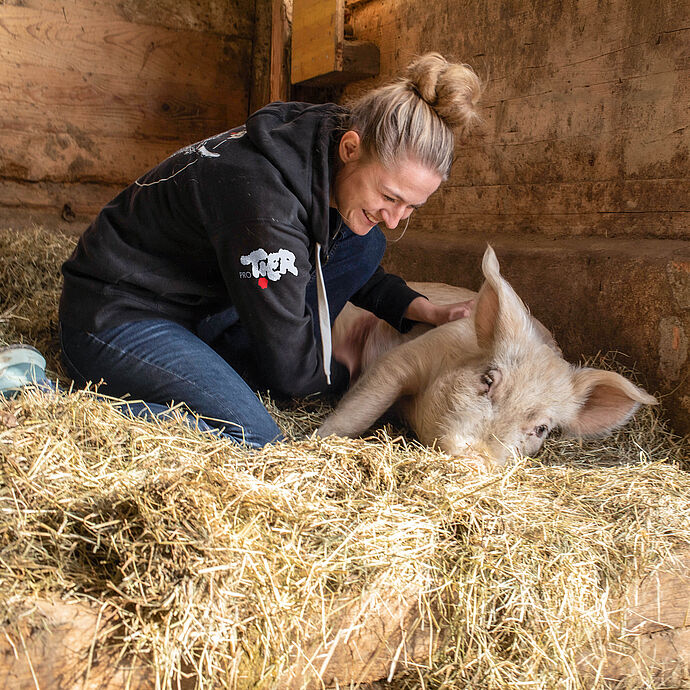 Schweinerettung mit Herz