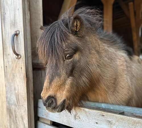 Angekommen: Rebecca findet ihr Glück auf Aiavita