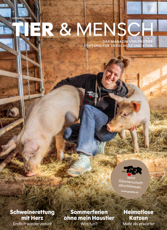 Probeexemplar Magazin «Tier & Mensch» / gratis / Ausgabe 02/2026