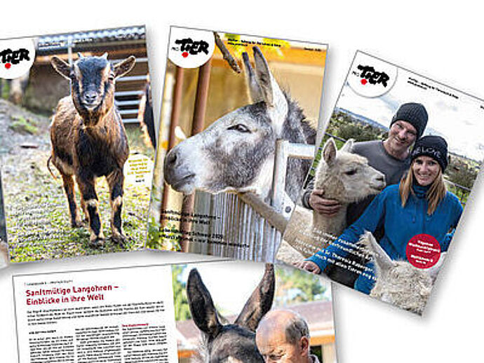 Magazin 04/22