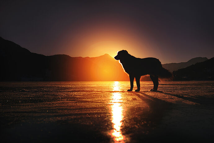 SORGEN SIE VOR! SORGEN SIE VOR!