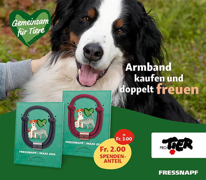 Spenden-Aktion "Gib Pfötchen" 2021