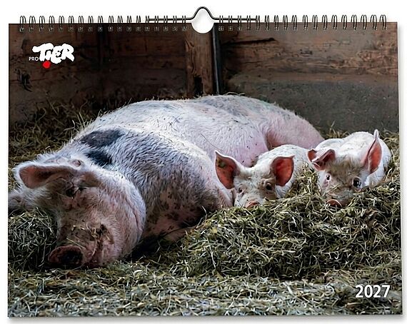 ProTier Kalender 2027 (A4) / CHF 35