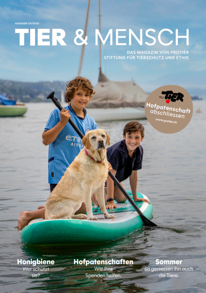 ProTier Magazin «Tier & Mensch»