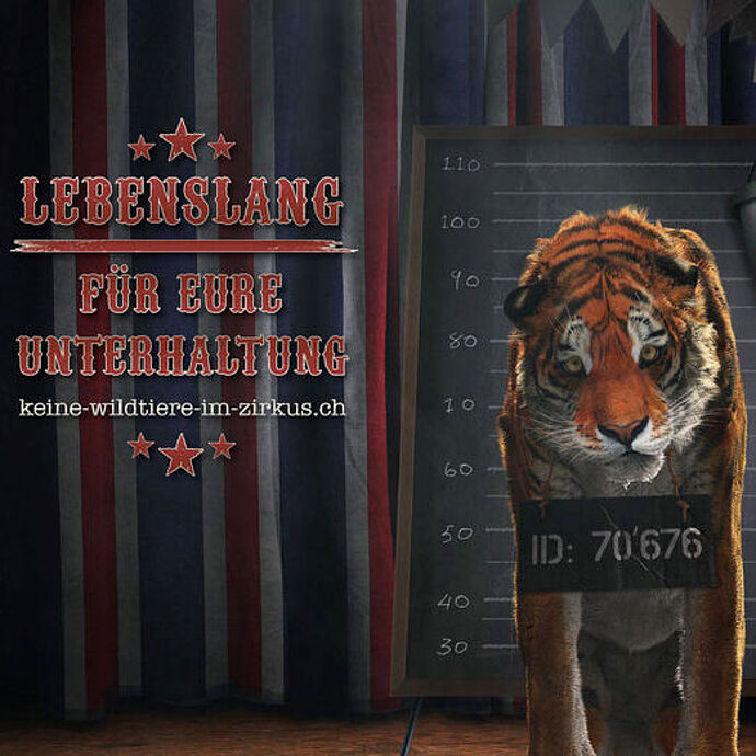 Keine Wildtiere im Zirkus