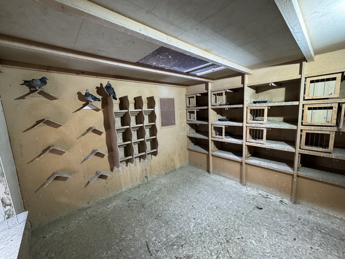 Taubenschlag Winterthur