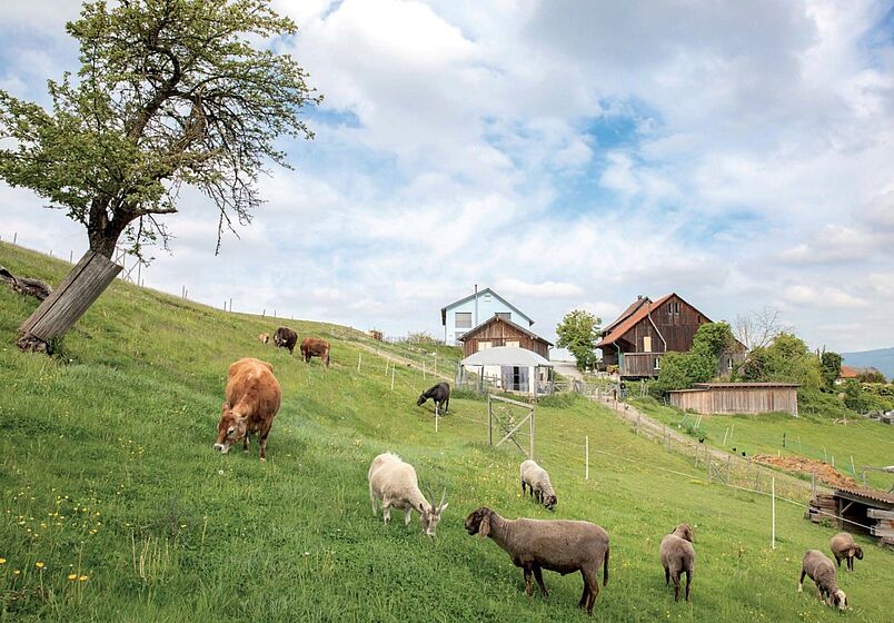 Vaikuntha Farm Hunzenschwil