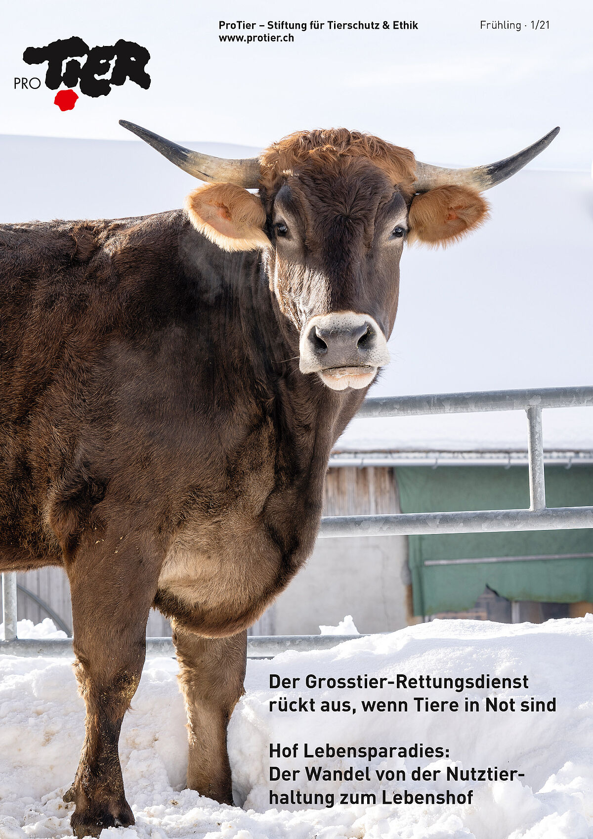 Ausgabe Frühling 2021