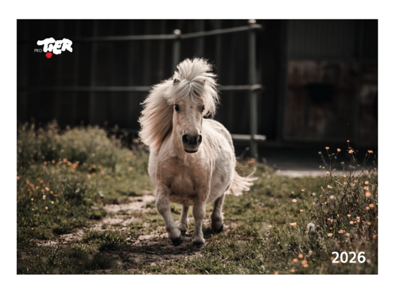 ProTier Kalender 2026 (A4) / CHF 35 (Verfügbar ab 1.11.25)